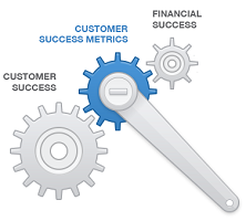 bluenose customer success metrics