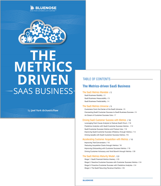 saas customer success metrics ebook